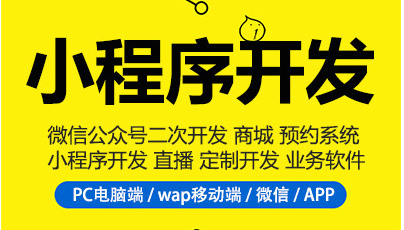 制作小程序，不知道小程序分類，小程序制作很難